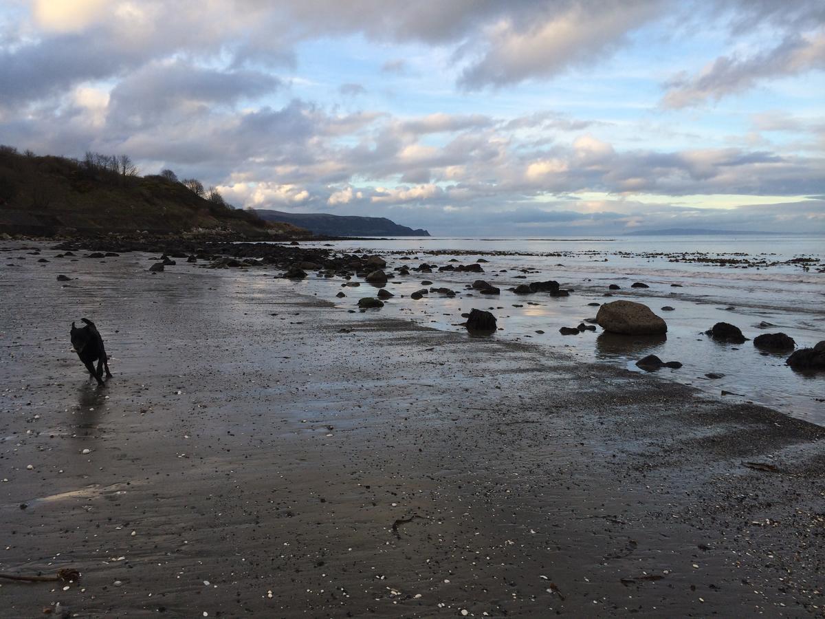 Josies Place At Waters Edge Self Catering Apartment Glenarm Luaran gambar